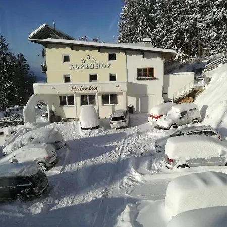 ホテル Alpenhof Hubertus 3*